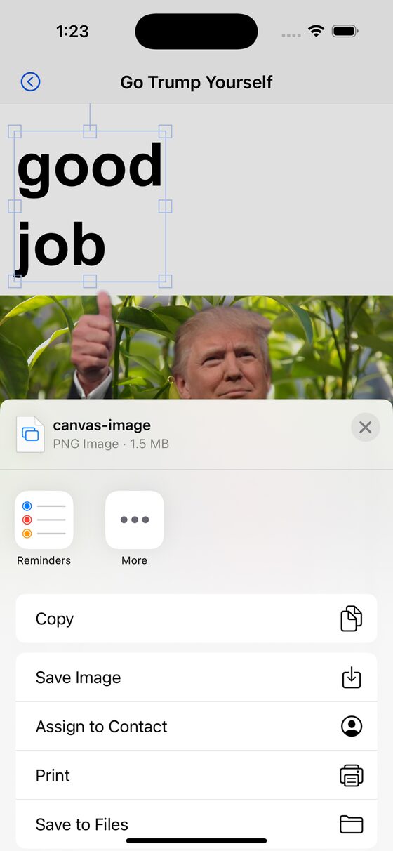 The iOS share sheet with Save Image and Copy options